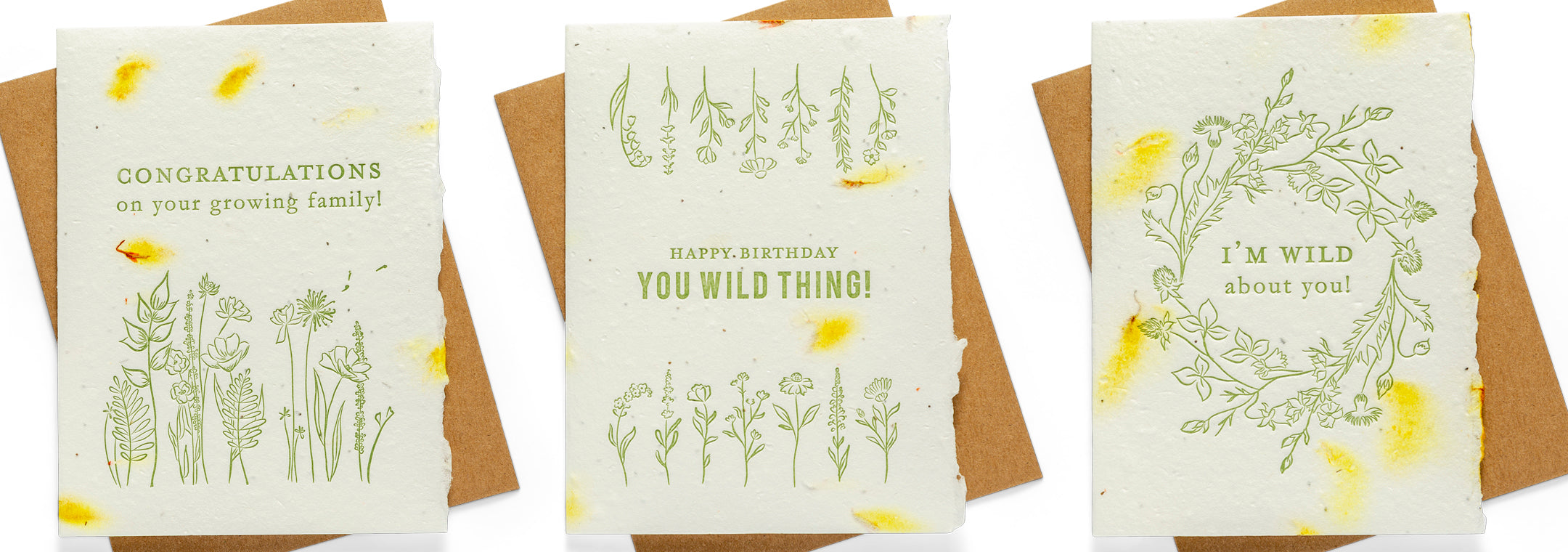 Seed Paper Cards