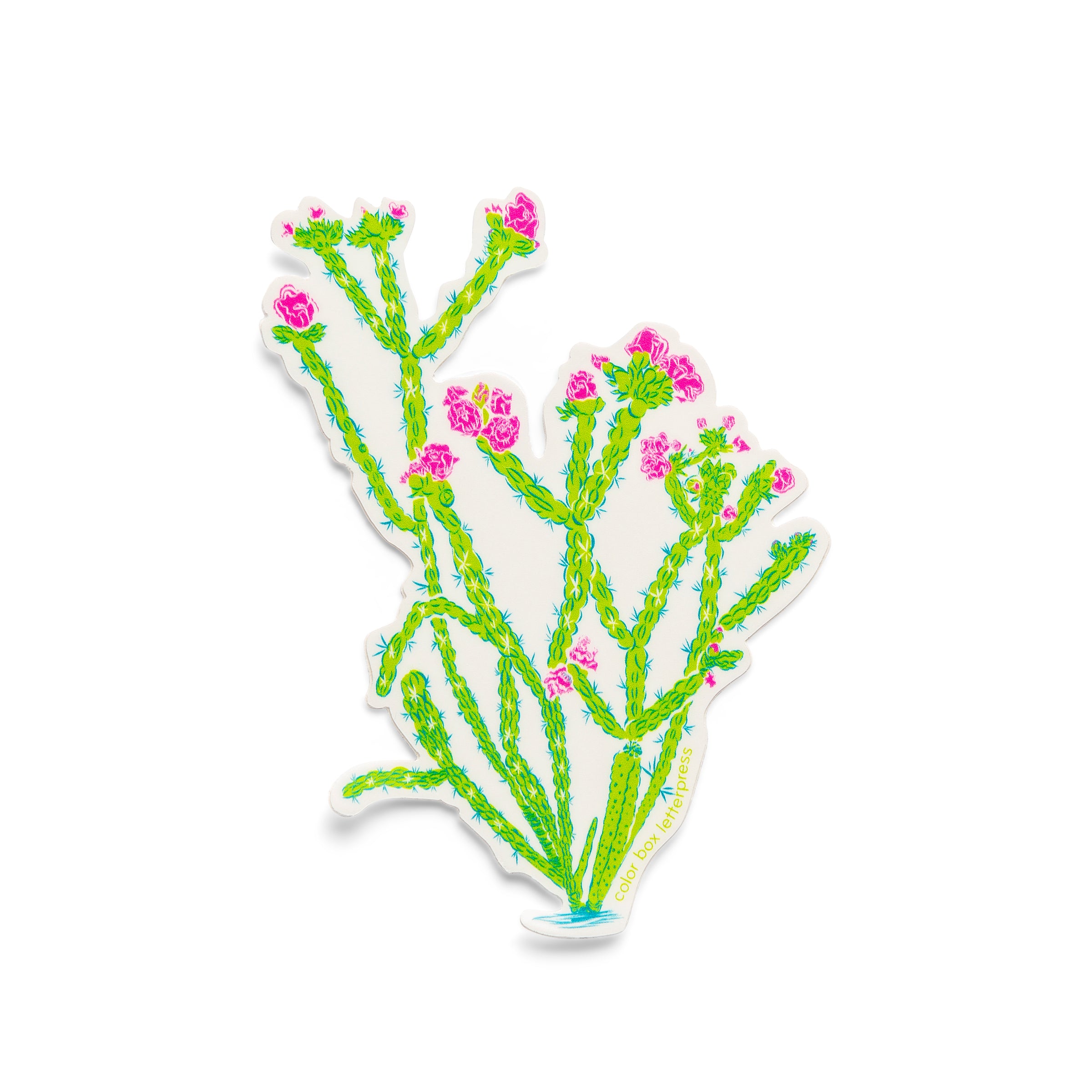 Sticker | Cholla Cactus